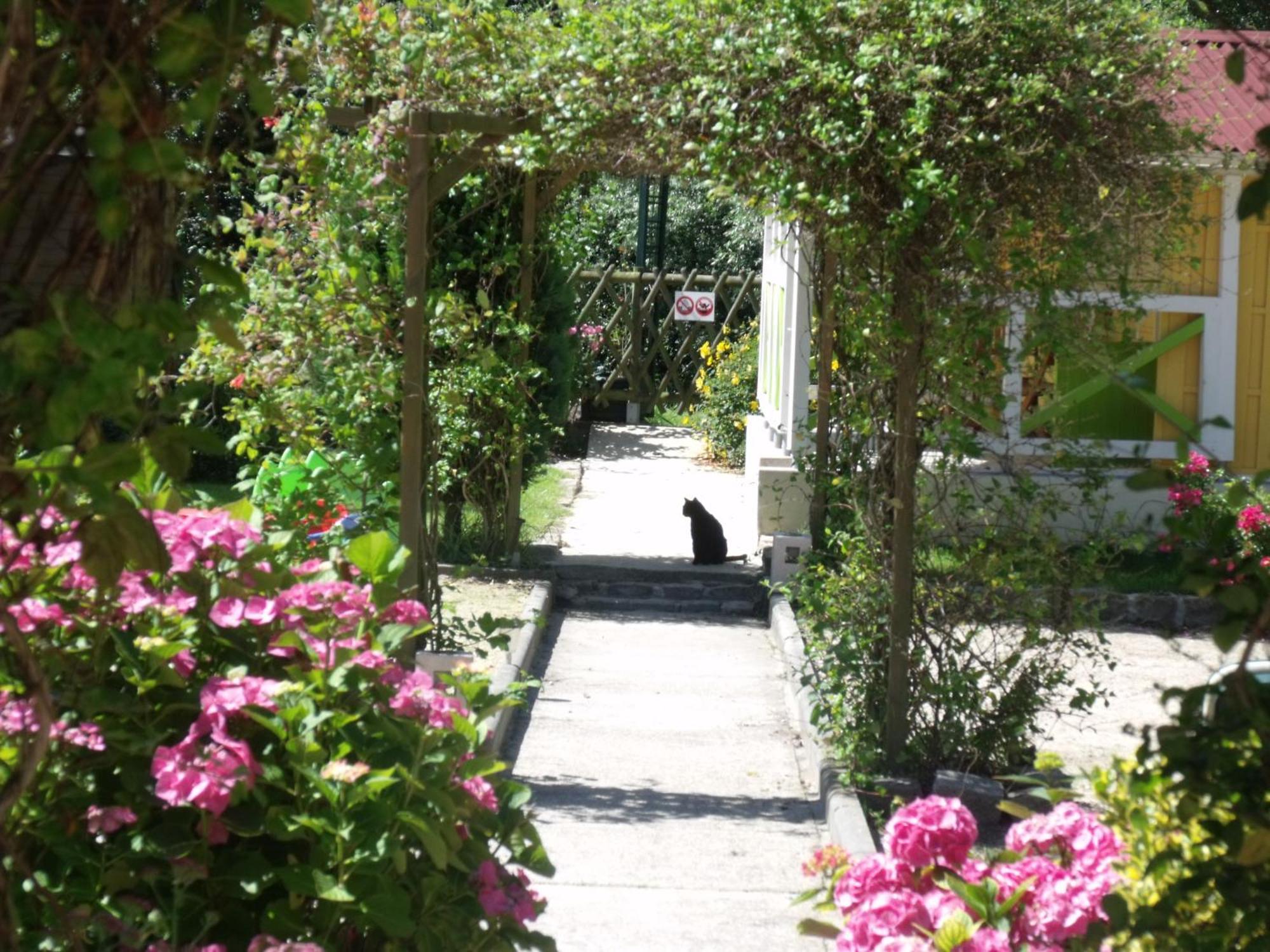 Le Clos Robinson Martin-Eglise Exterior photo